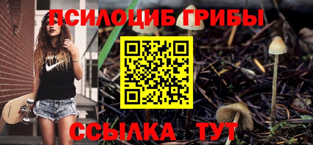 Галлюциногенные грибы мицелий Сальск