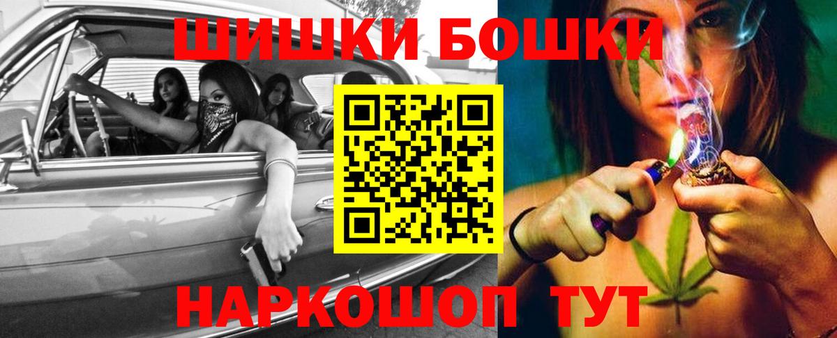Каннабис сатива Сальск